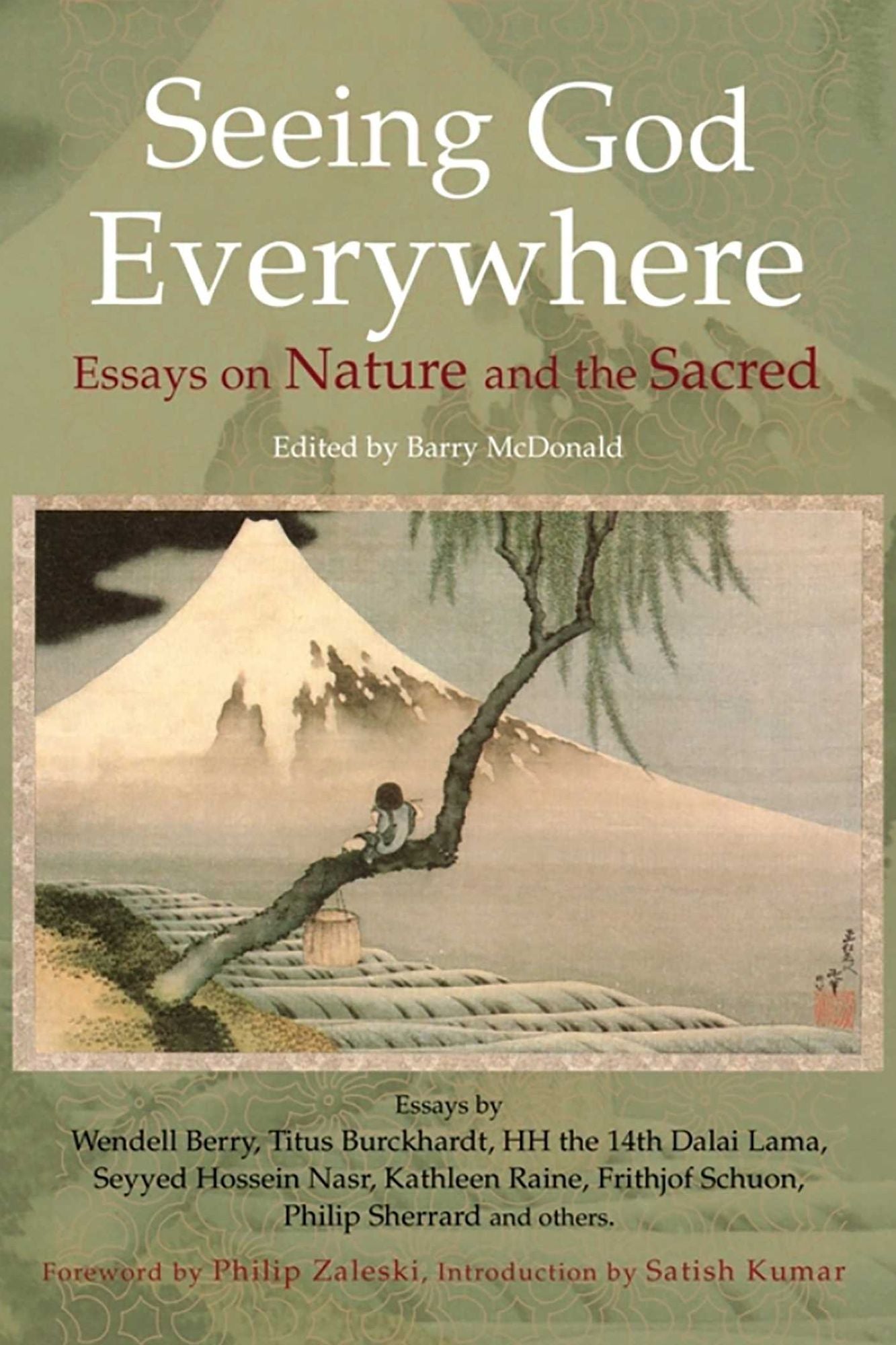 Seeing God Everywhere: Essays On Nature: Essays on Nature and the Sacred