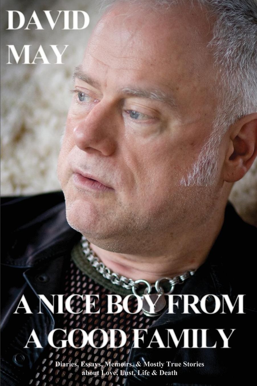 A Nice Boy from a Good Family: Diaries, Essays, Memoirs, & Mostly True Stories about Love, Lust, Life & Death