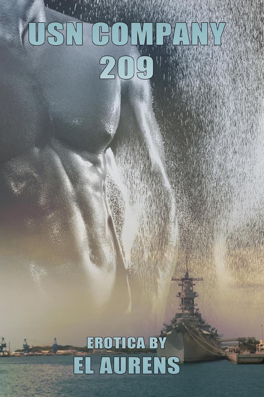 Usn Company 209