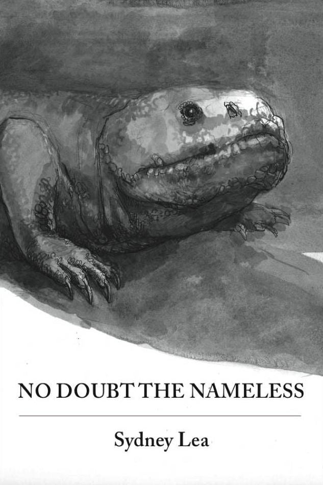 No Doubt the Nameless