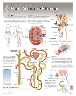 Fluid Balance & Filtration Wall Chart: 8260