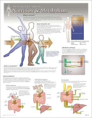 Nutrition & Metabolism Wall Chart: 8650