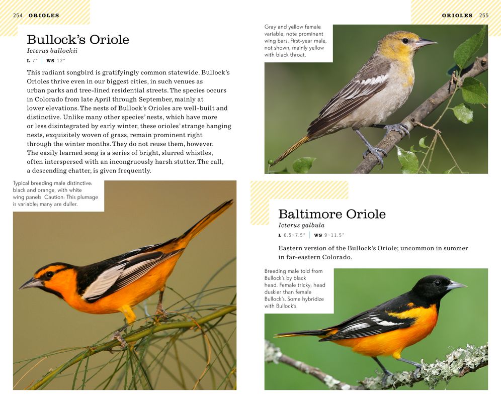 The American Birding Association Field Guide to the Birds of Colorado