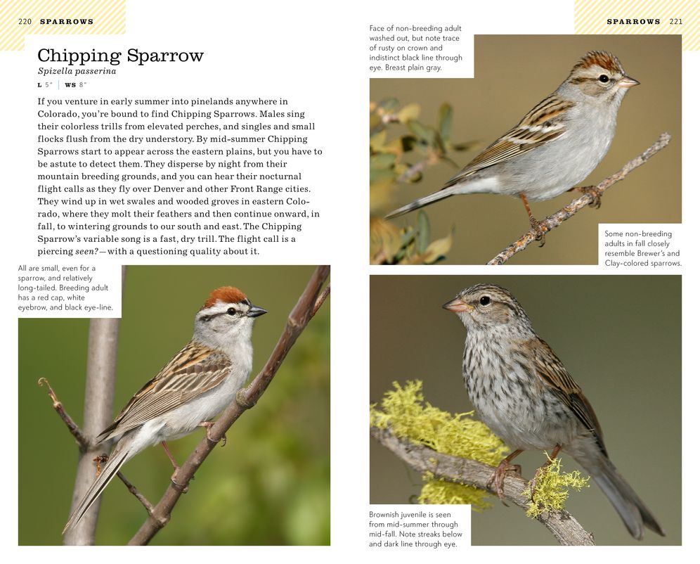 The American Birding Association Field Guide to the Birds of Colorado
