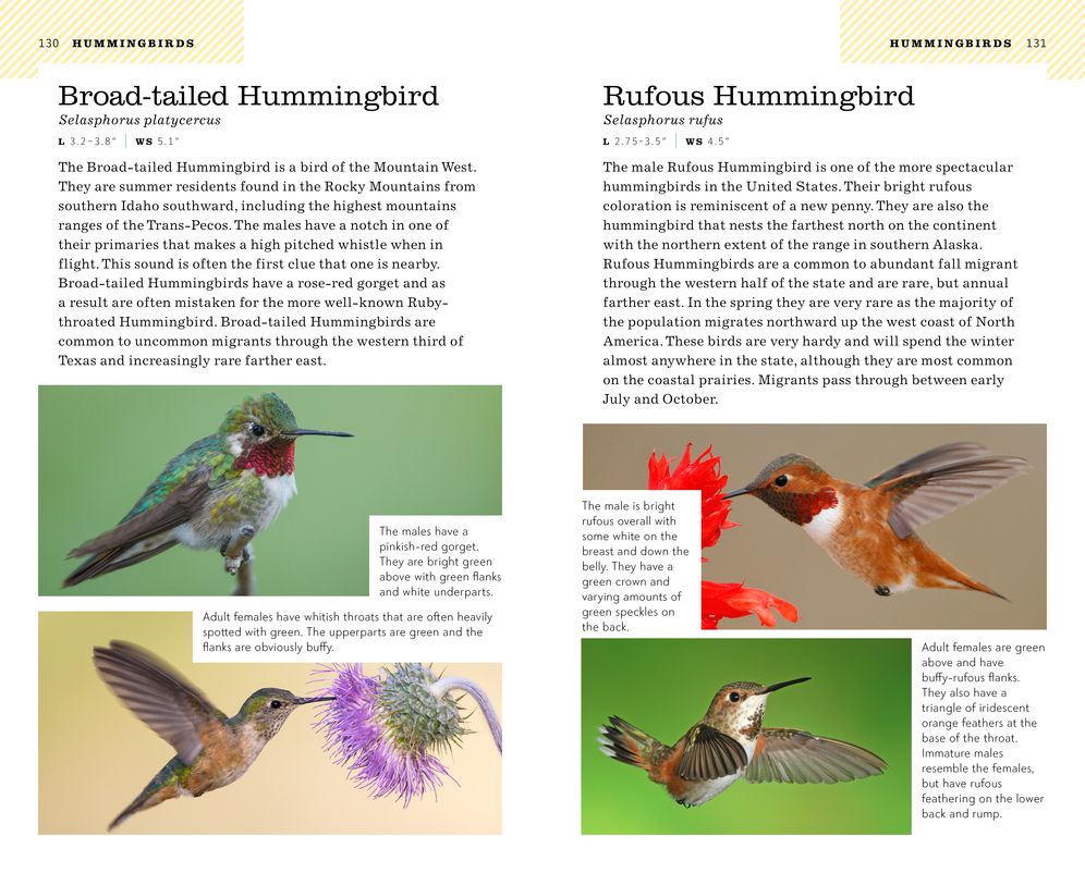 American Birding Association Field Guide to Birds of Texas