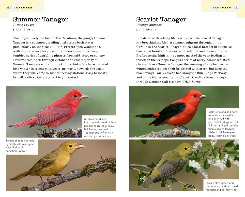 American Birding Association Field Guide to Birds of the Carolinas