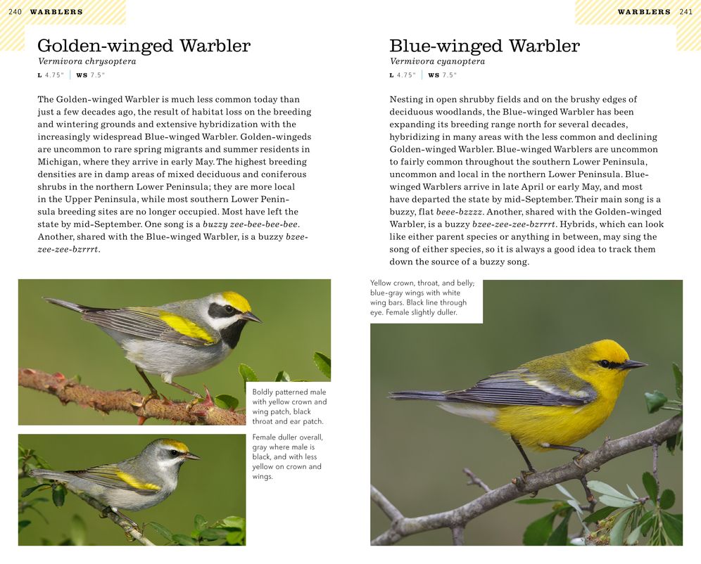 American Birding Association Field Guide to Birds of Michigan