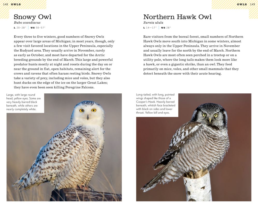American Birding Association Field Guide to Birds of Michigan