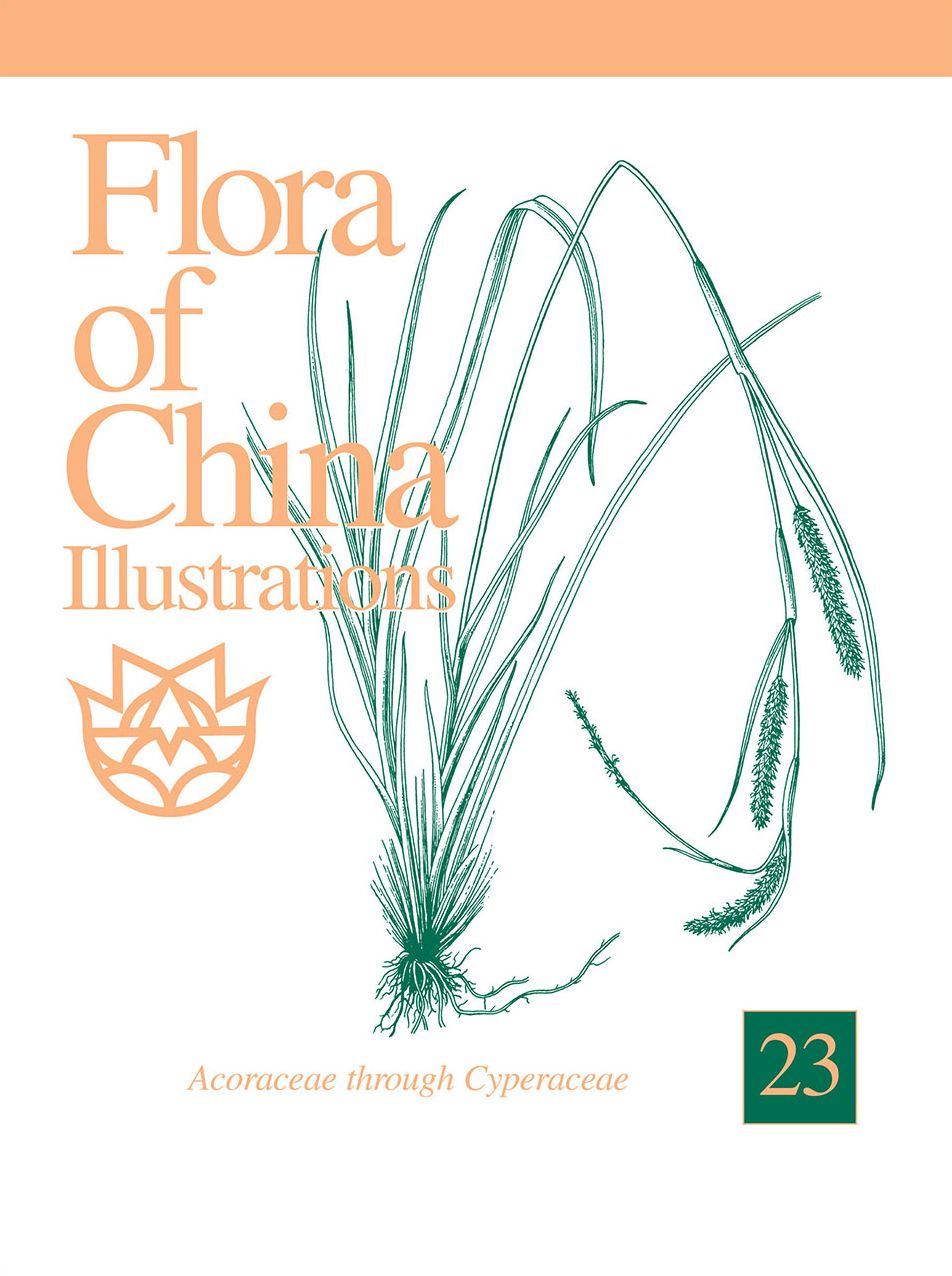 Flora of China Illustrations, Volume 23: Acoraceae through Cyperaceae