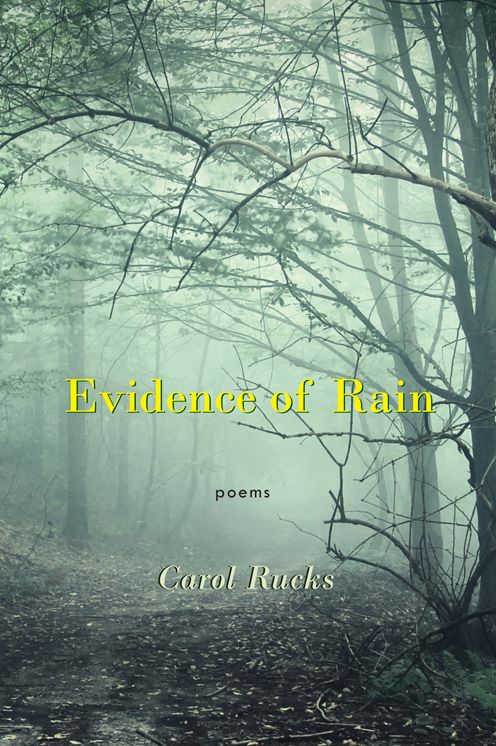 Evidence of Rain: poems