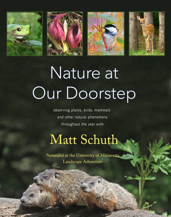 Nature at Our Doorstep: observing plants, birds, mammals, and other natural phenomena throughout the year