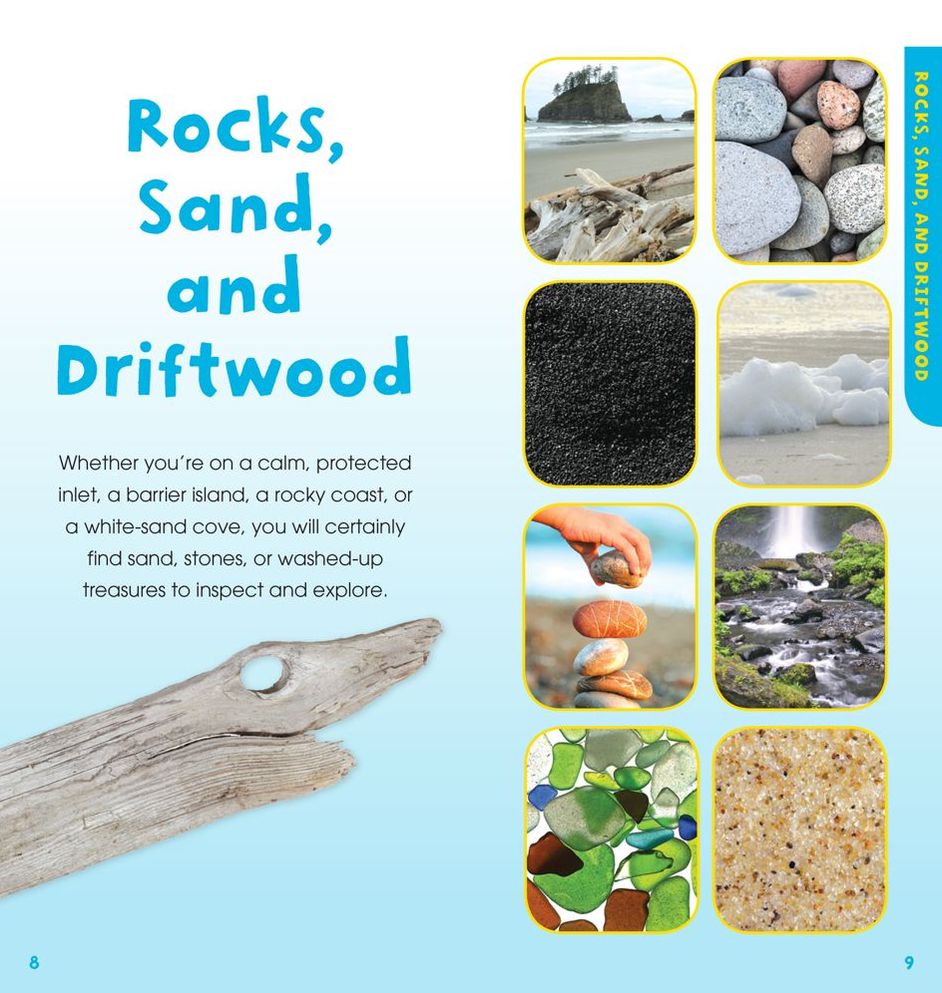 A Walk on the Beach: Into the Field Guide (Treasure Box)