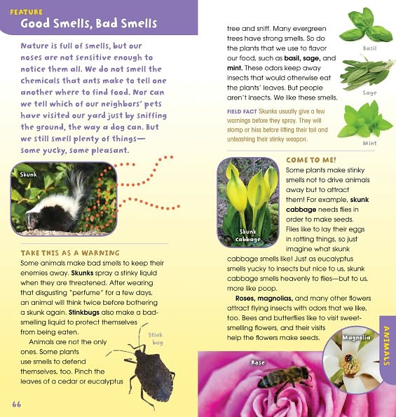 A Walk in the Woods: Into the Field Guide