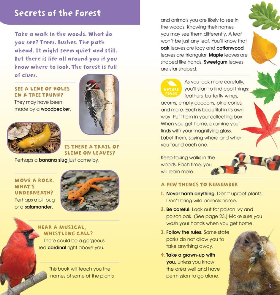 A Walk in the Woods: Into the Field Guide
