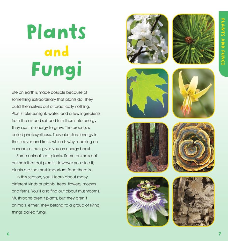 A Walk in the Woods: Into the Field Guide