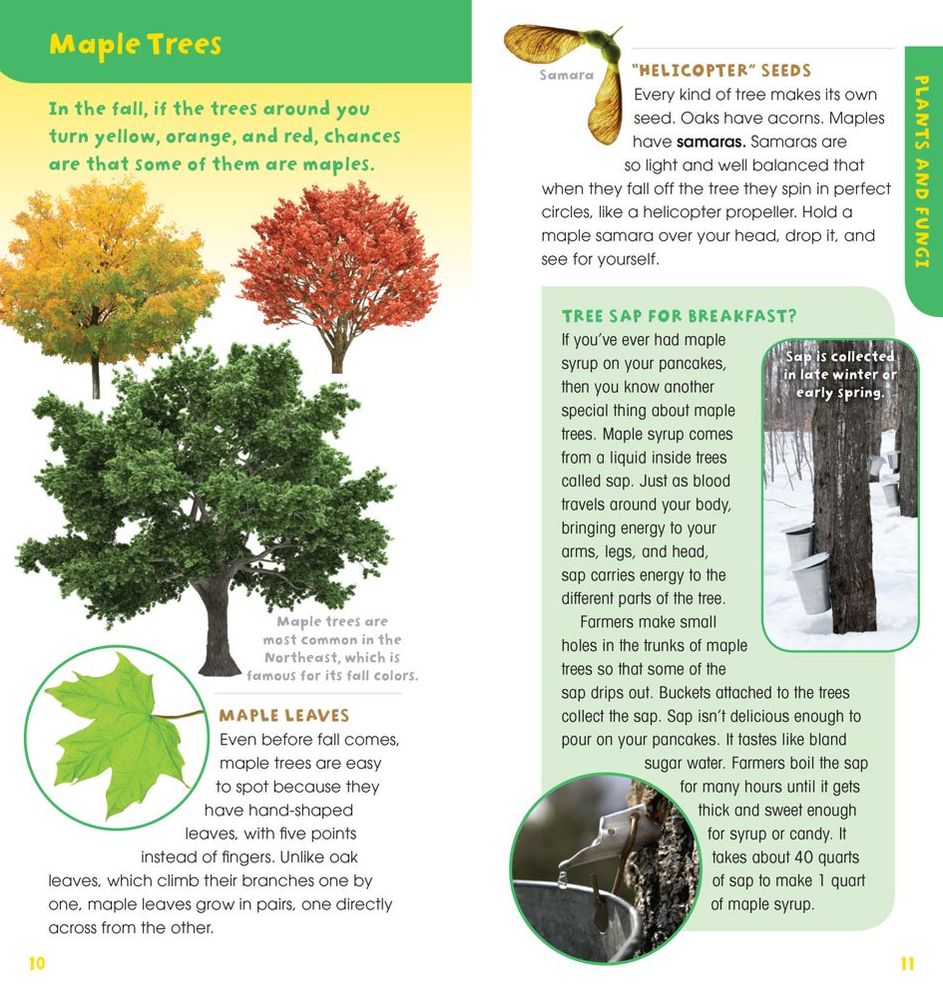 A Walk in the Woods: Into the Field Guide