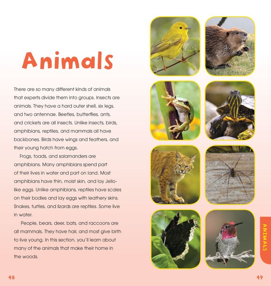 A Walk in the Woods: Into the Field Guide