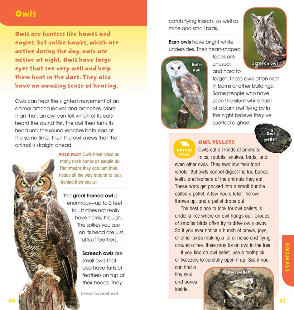 A Walk in the Woods: Into the Field Guide