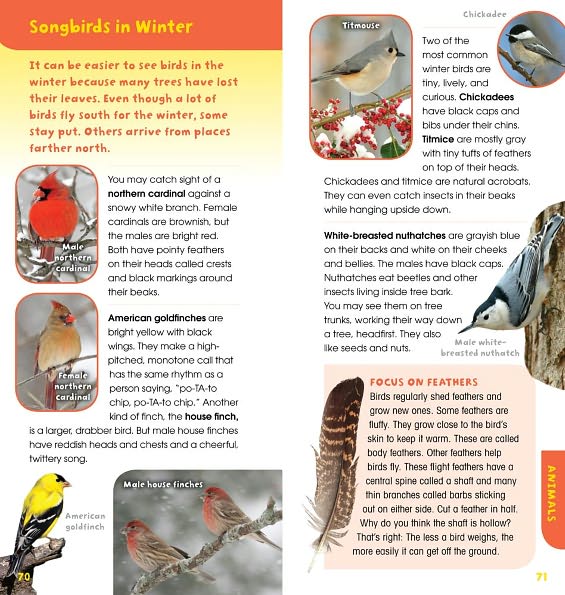 A Walk in the Woods: Into the Field Guide