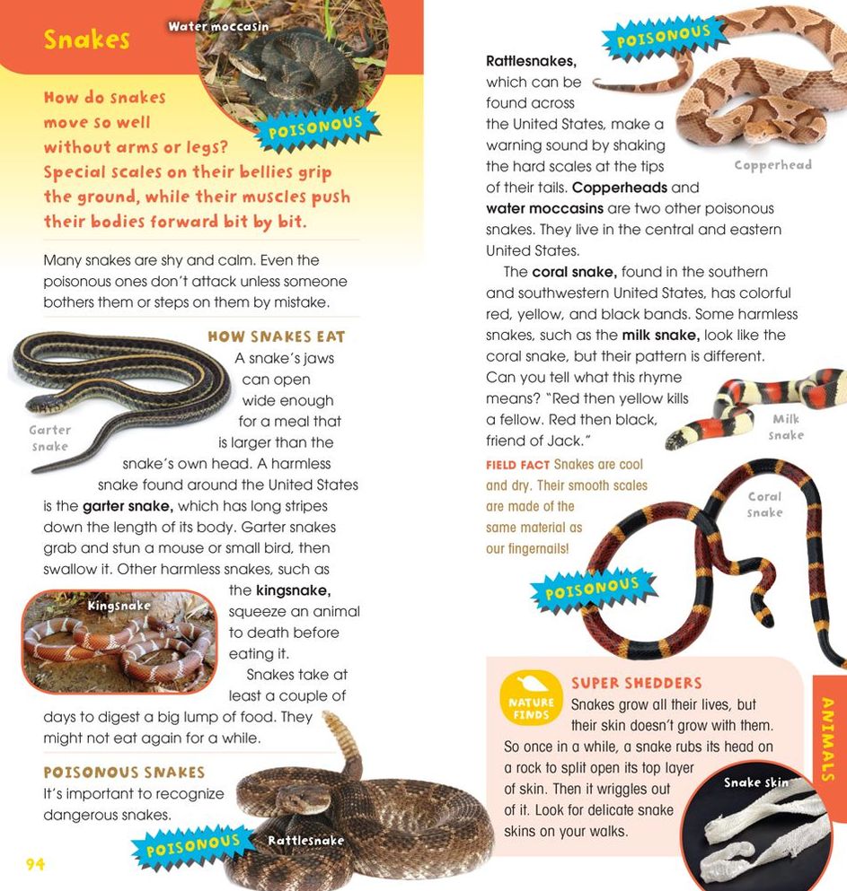 A Walk in the Woods: Into the Field Guide