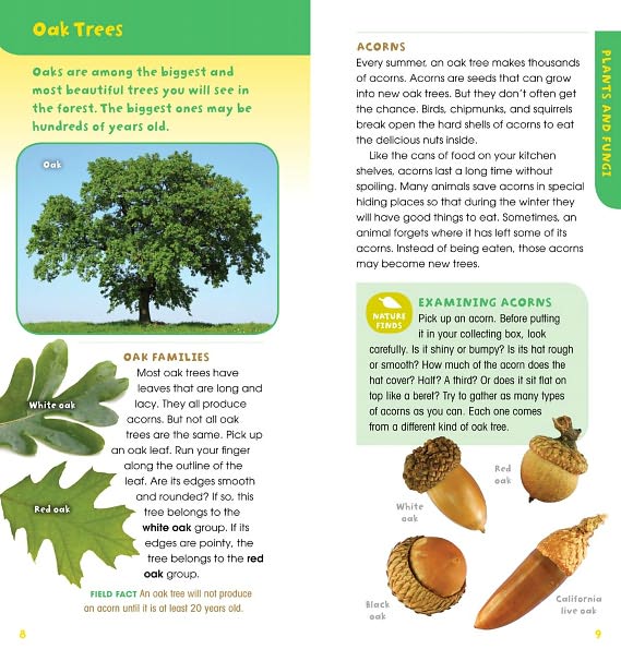 A Walk in the Woods: Into the Field Guide