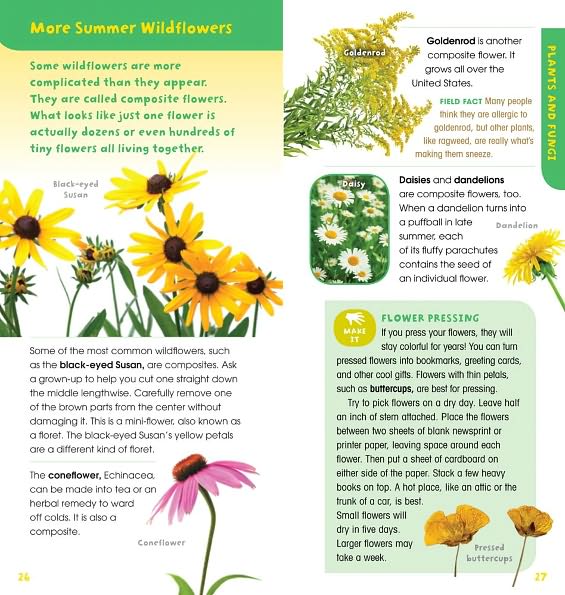 A Walk in the Woods: Into the Field Guide