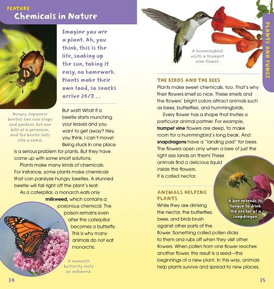 A Walk in the Woods: Into the Field Guide