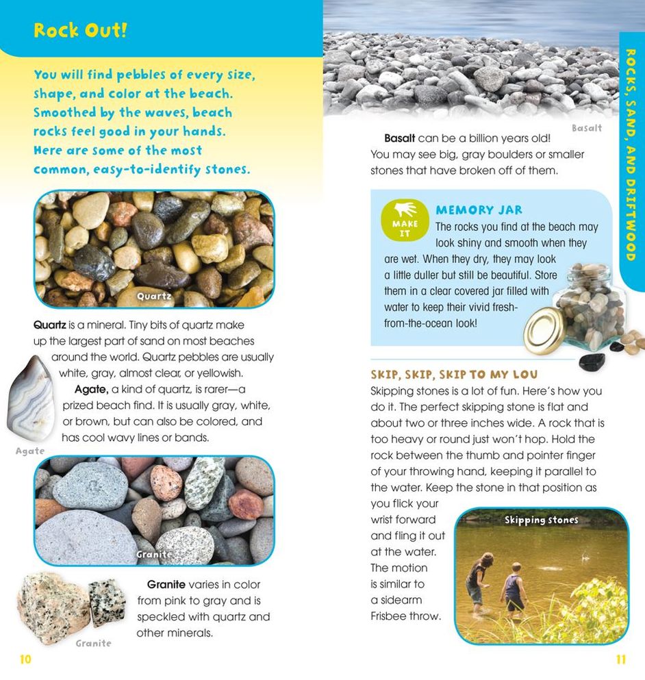 A Walk on the Beach: Into the Field Guide