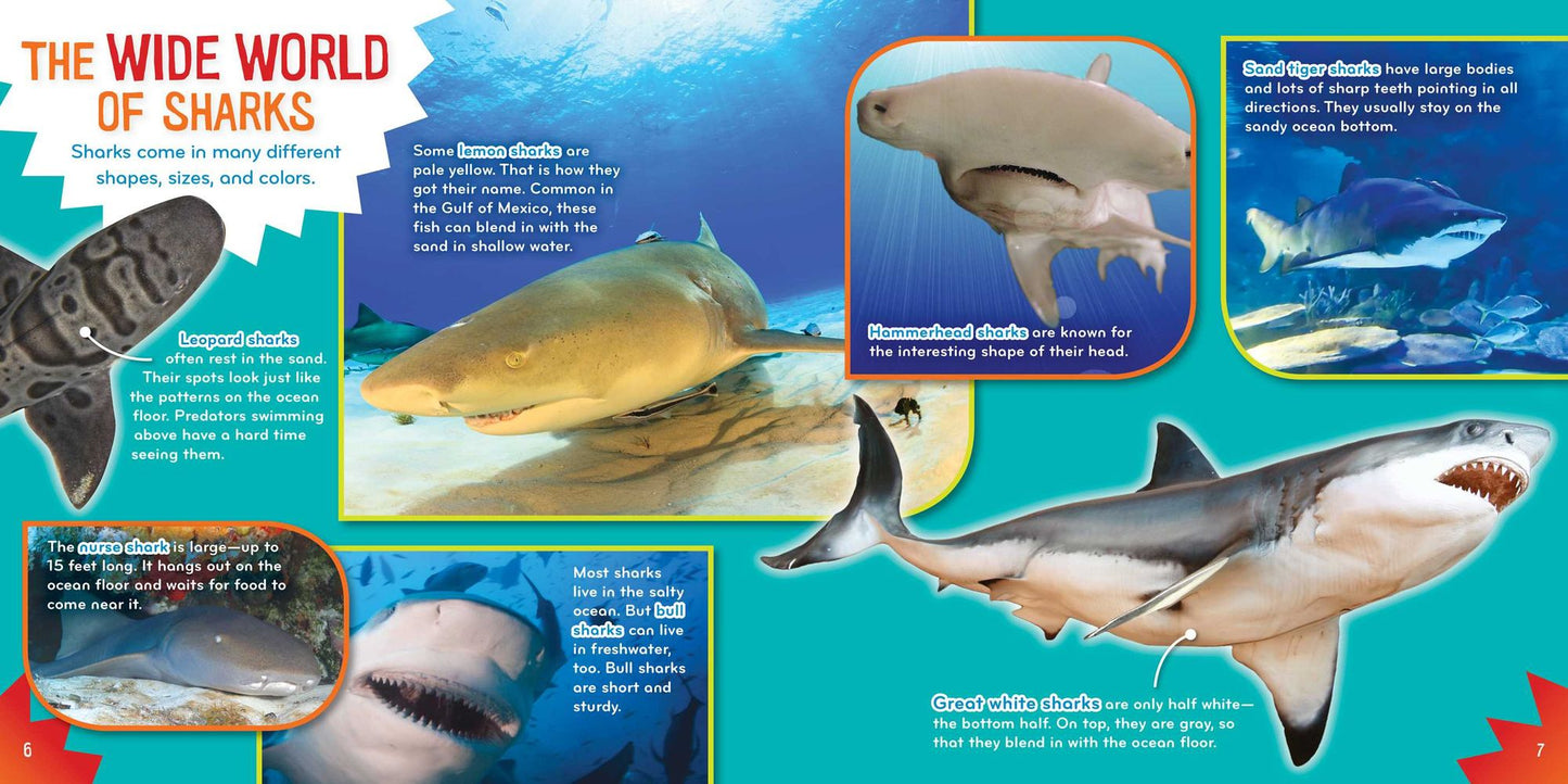 Shark-tastic! (Science with Stuff Series)