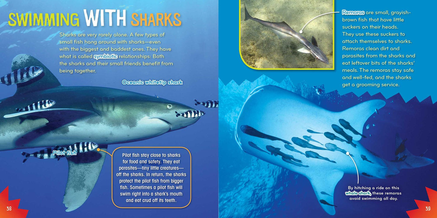 Shark-tastic! (Science with Stuff Series)