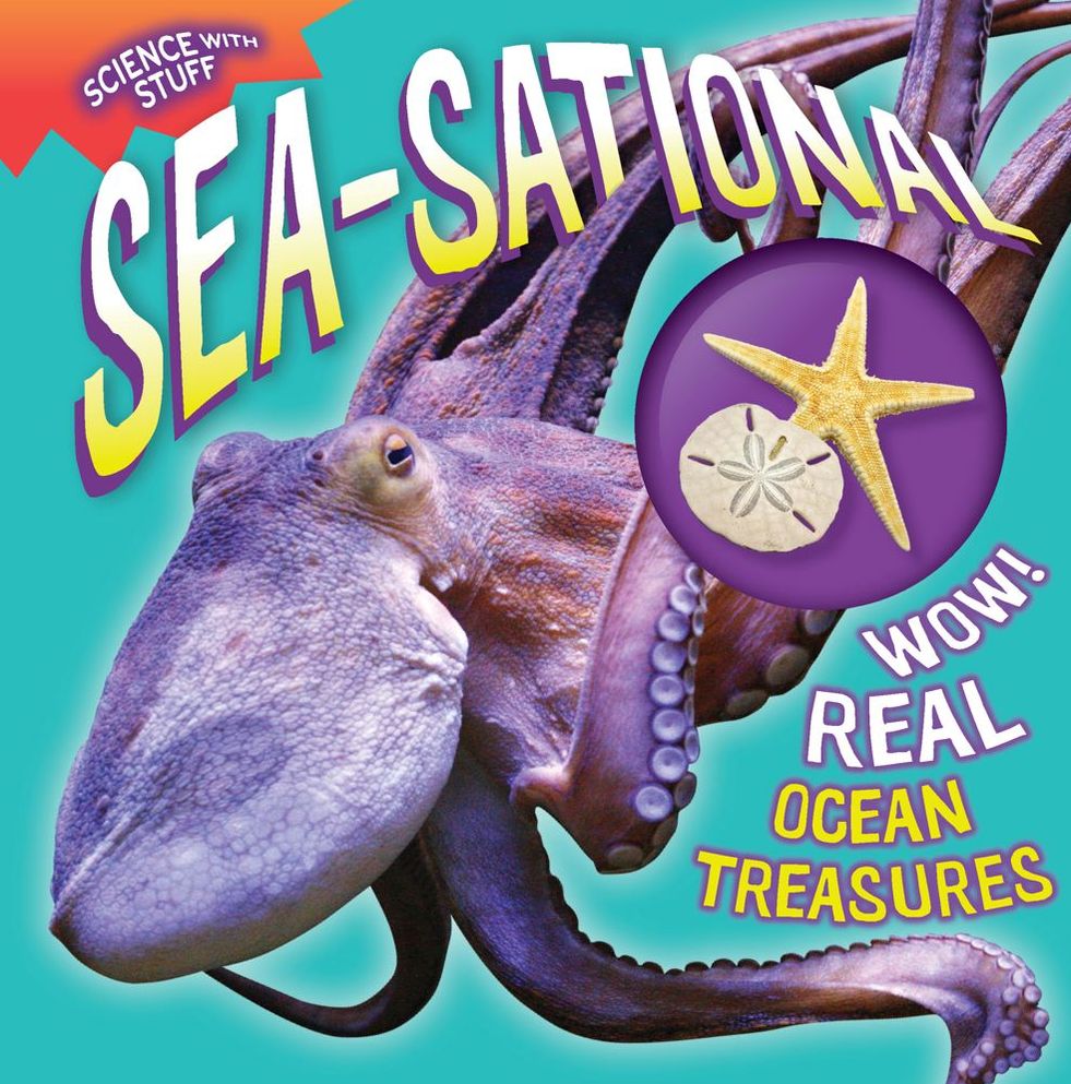 Sea-Sational (Science with Stuff Series)