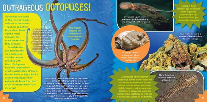Sea-Sational (Science with Stuff Series)