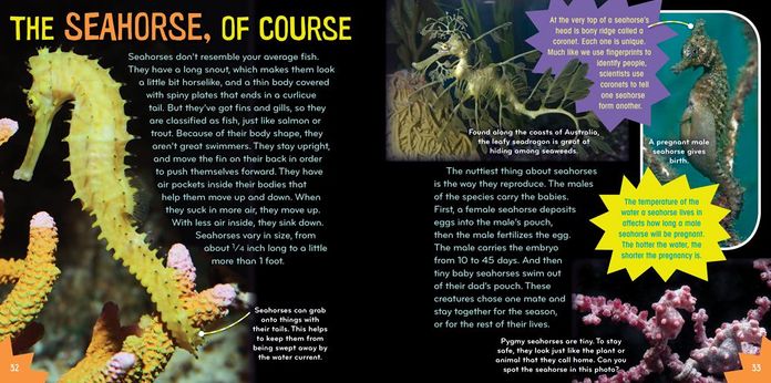 Sea-Sational (Science with Stuff Series)