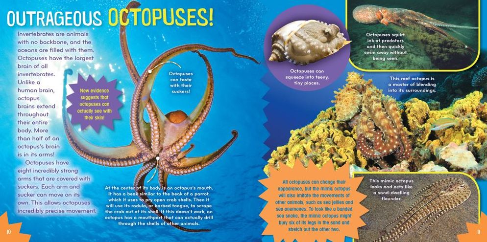 Sea-Sational (Science with Stuff Series)