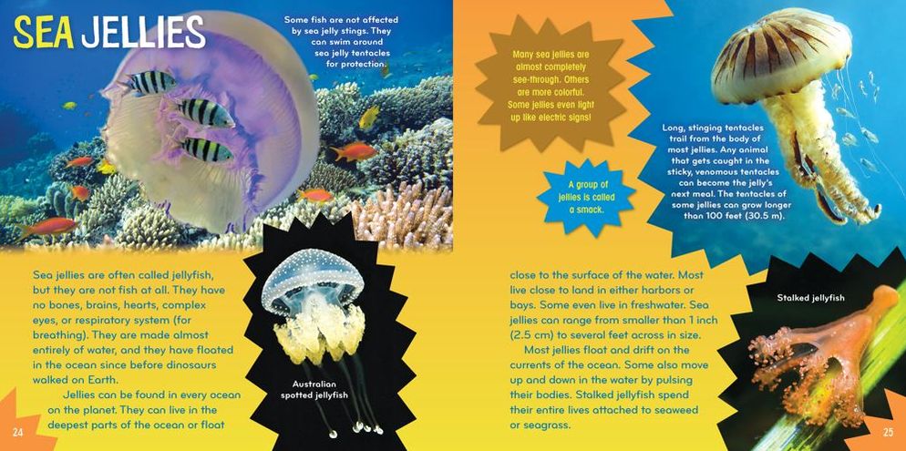 Sea-Sational (Science with Stuff Series)