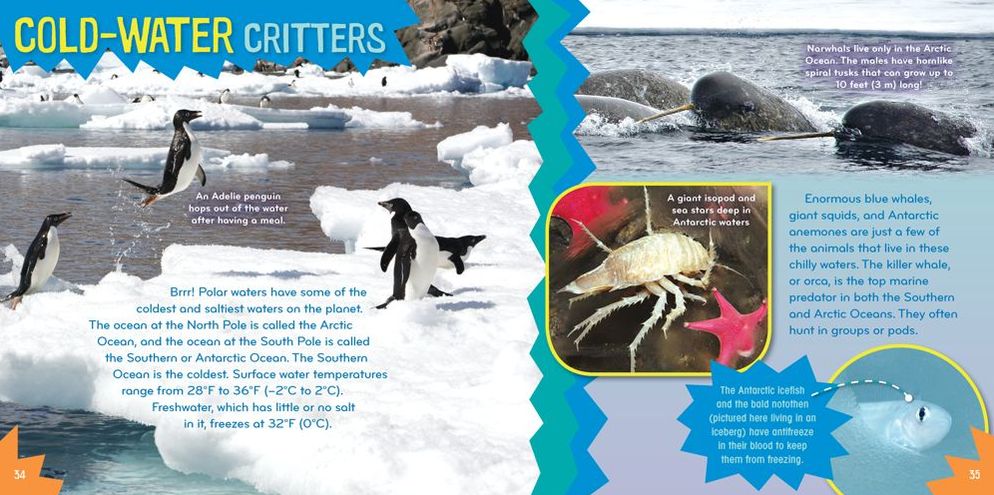 Sea-Sational (Science with Stuff Series)