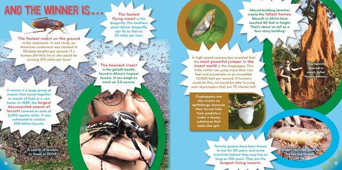 Insect-o-mania! (Science with Stuff Series)
