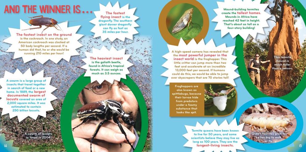 Insect-o-mania! (Science with Stuff Series)