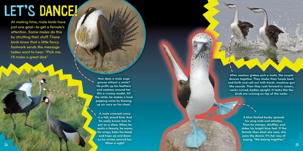 Bird-acious (Science with Stuff Series)