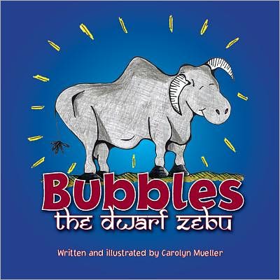 Bubbles the Dwarf Zebu