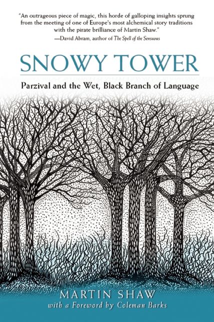 Snowy Tower : Parzival and the Wet, Black Branch of Language
