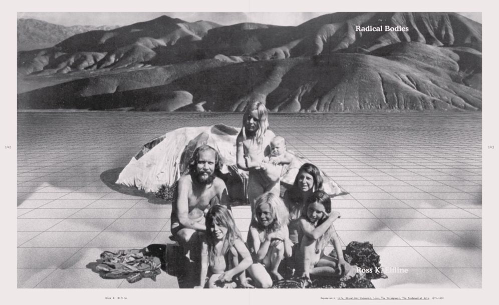 Hippie Modernism: The Struggle for Utopia