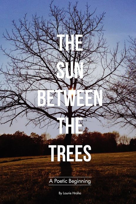 The Sun Between The Trees