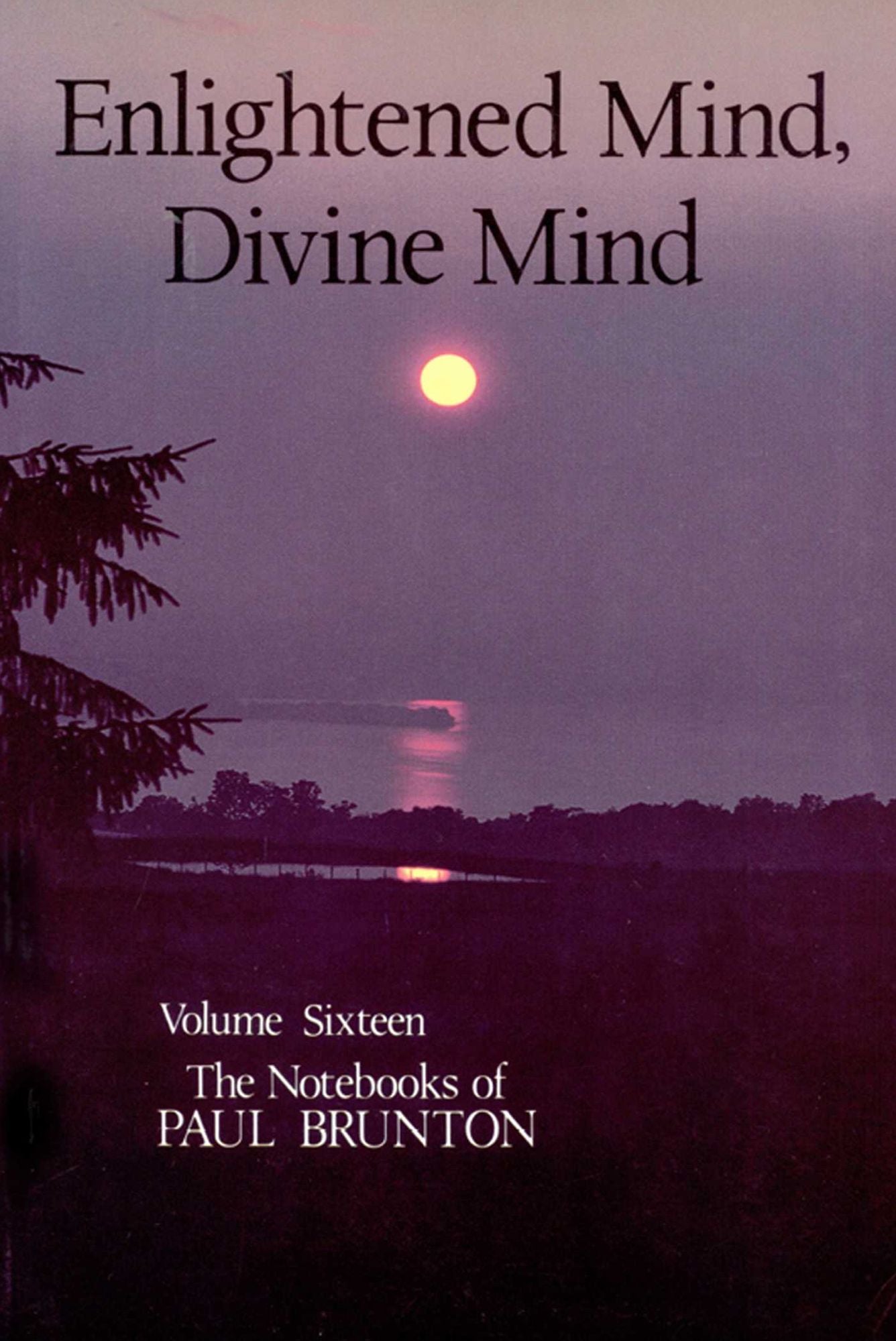 Enlightened Mind, Divine Mind: Notebooks