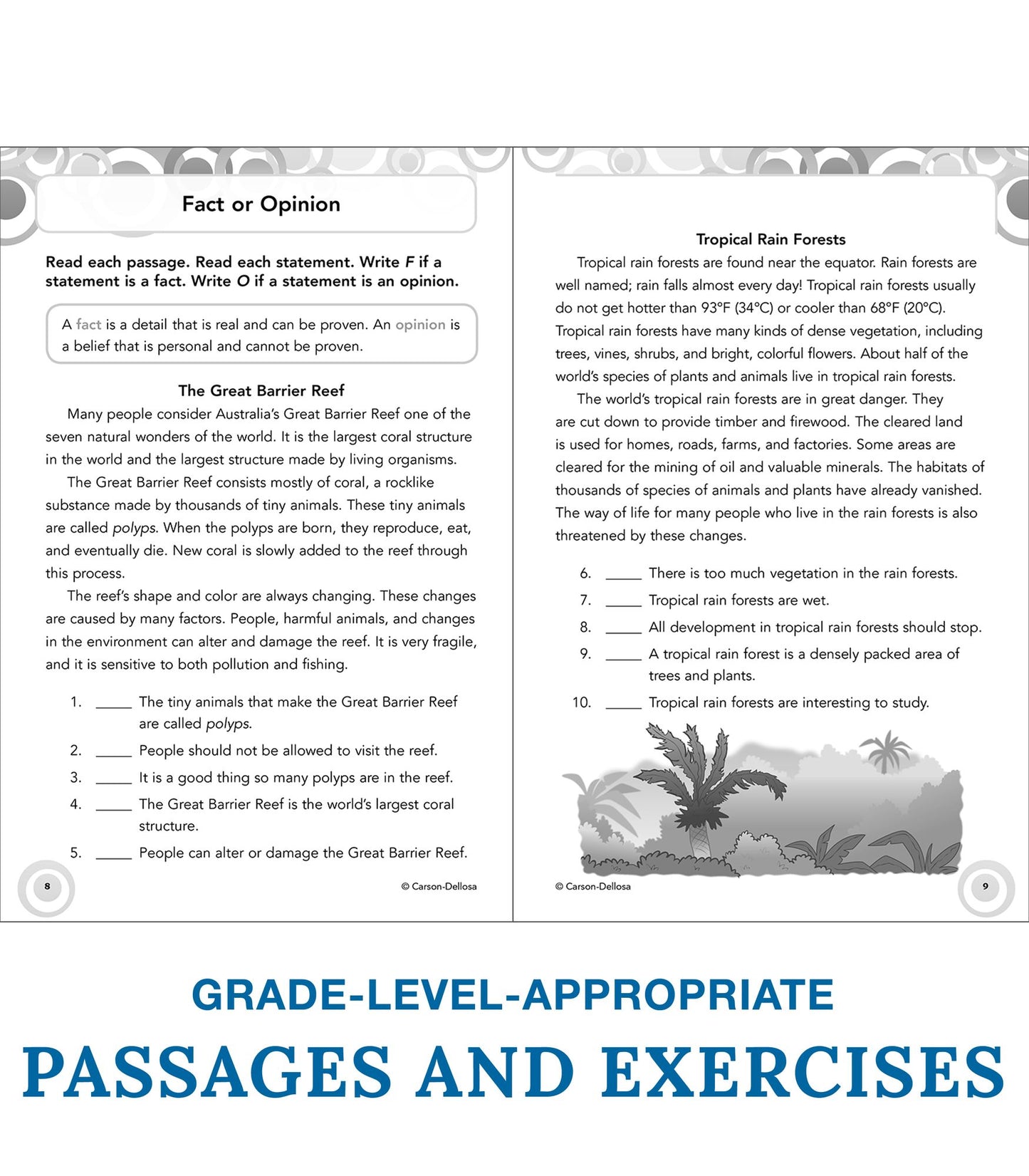 Reading Comprehension, Grade 5