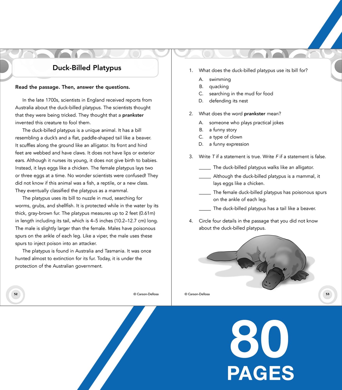 Reading Comprehension, Grade 5