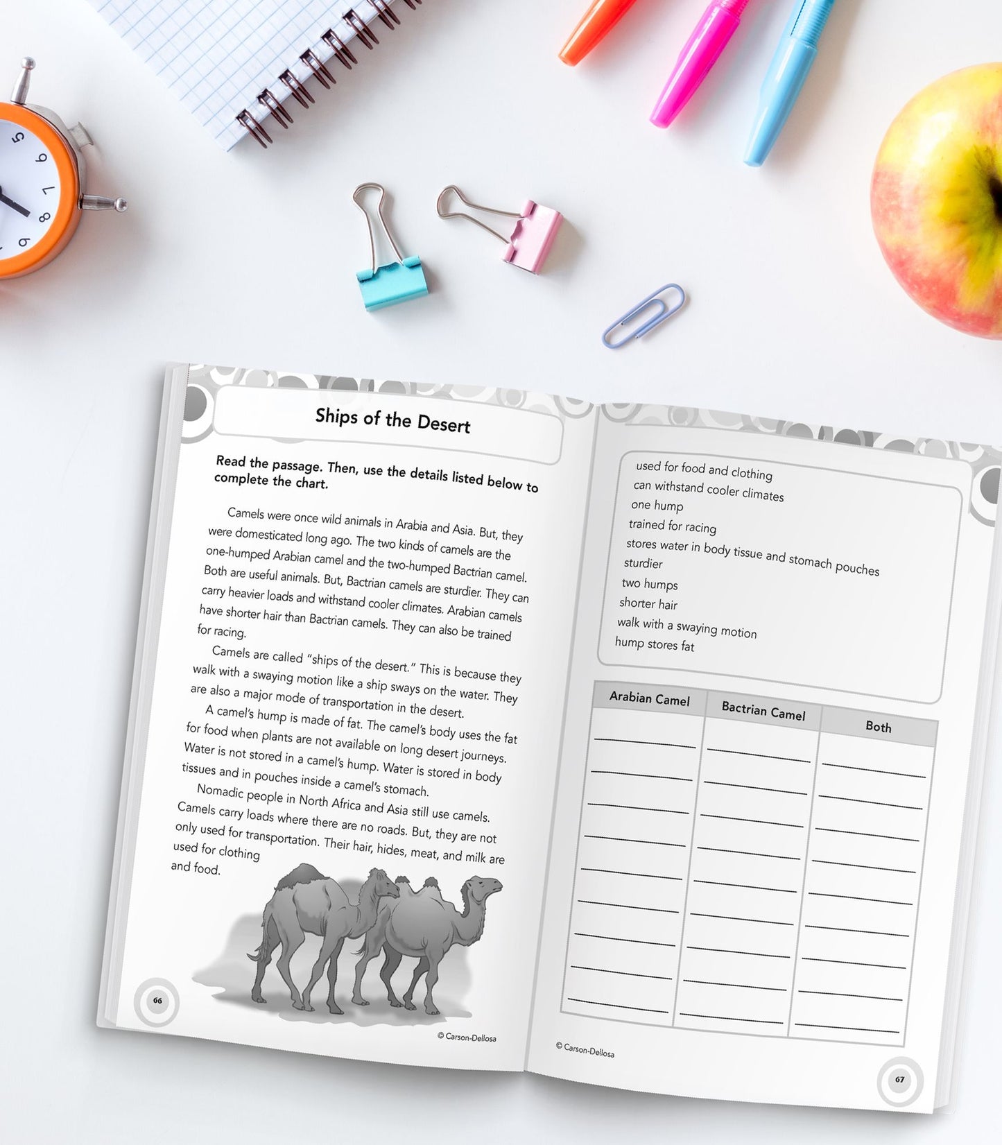 Reading Comprehension, Grade 5