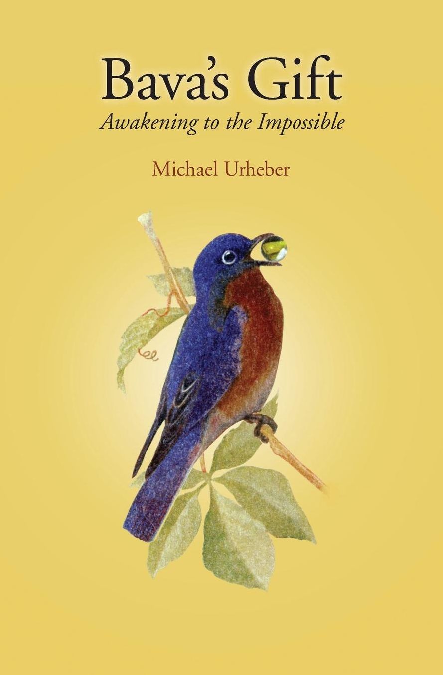 Bava's Gift: Awakening to the Impossible