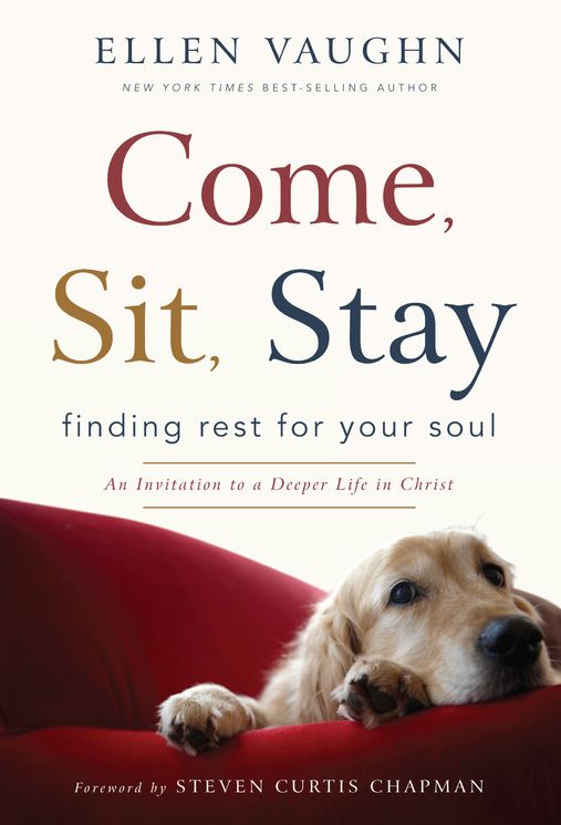 Come, Sit, Stay: Finding Rest for Your Soul (Large Print -- QA test)