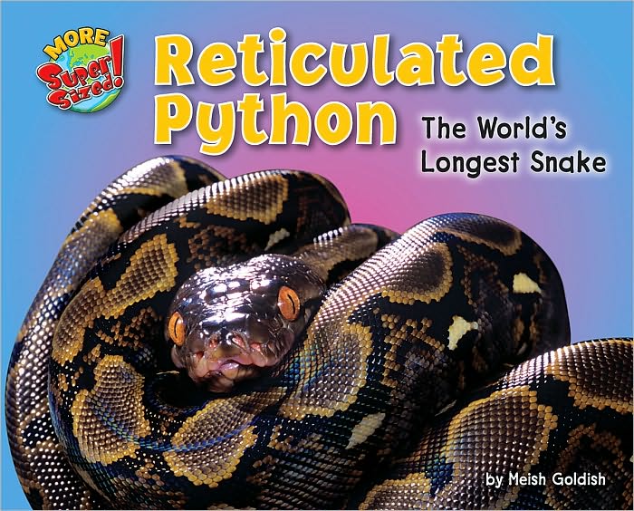 Reticulated Python: The World's Longest Snake